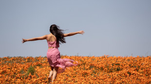 L'IA non capisce davvero cos'&egrave; un fiore per gli esseri umani