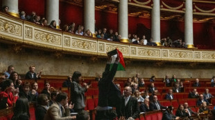 Parlamento francês sanciona deputado por mostrar bandeira palestina