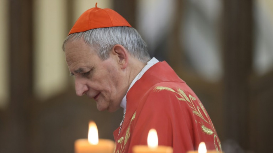 Enviado do papa pela paz na Ucr&acirc;nia visita Washington