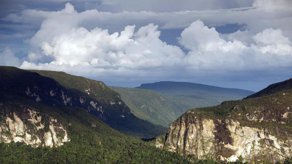 Biomass, cos&igrave; le foreste hanno addestrato il satellite
