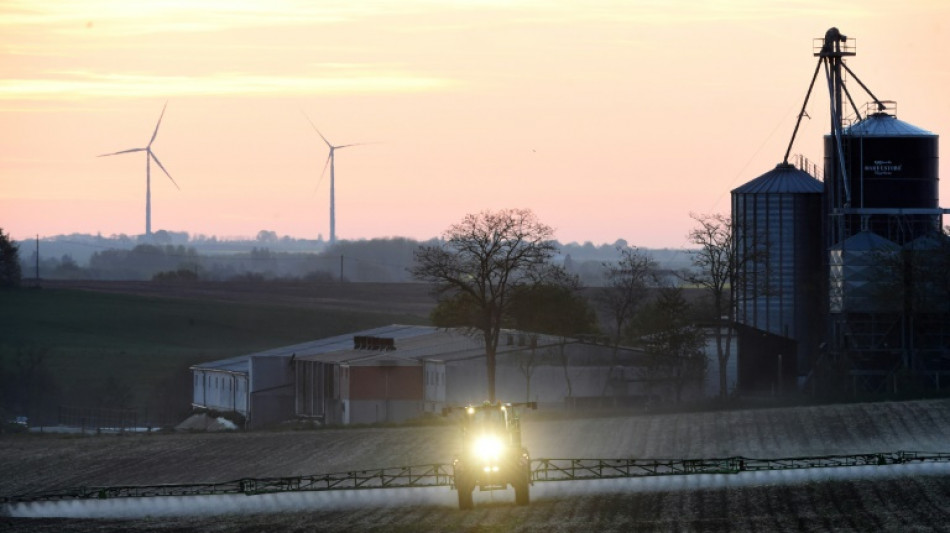 El regulador europeo abre la puerta a renovar la autorizaci&oacute;n del glifosato en la UE