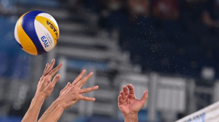 Volley: Kedzierzyn-Kozle r&eacute;alise le doubl&eacute;, Istanbul retrouve les sommets