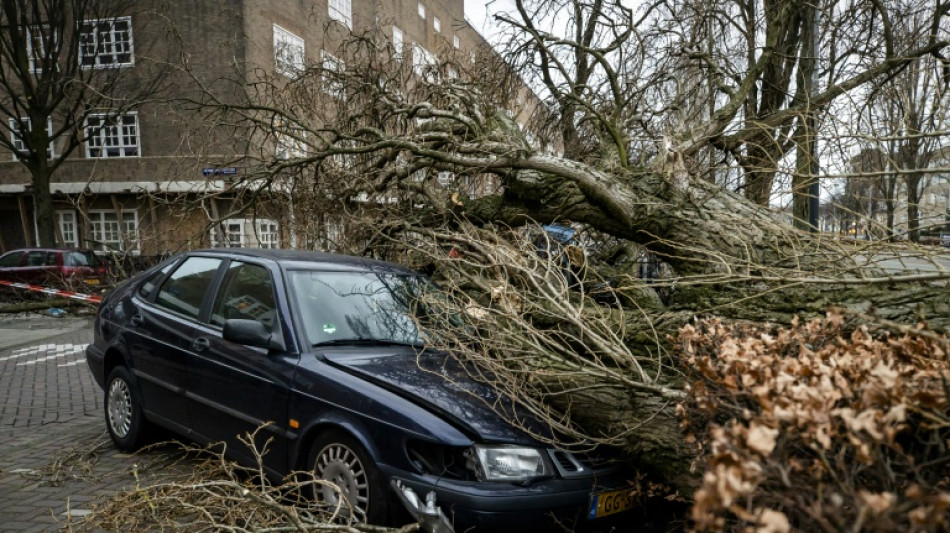 13 die as Storm Eunice leaves thousands in Europe without power