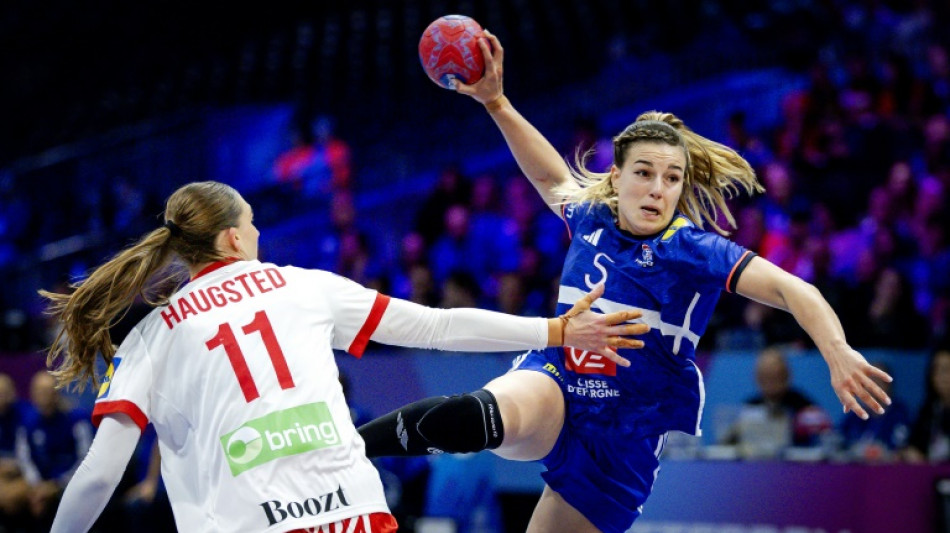 Mondial de hand: test d'effort contre l'Allemagne pour une finale