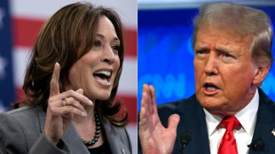 Harris et Trump maintenant engag&eacute;s dans le sprint final