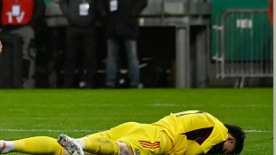 Pechvogel Schreiber untr&ouml;stlich nach Patzer