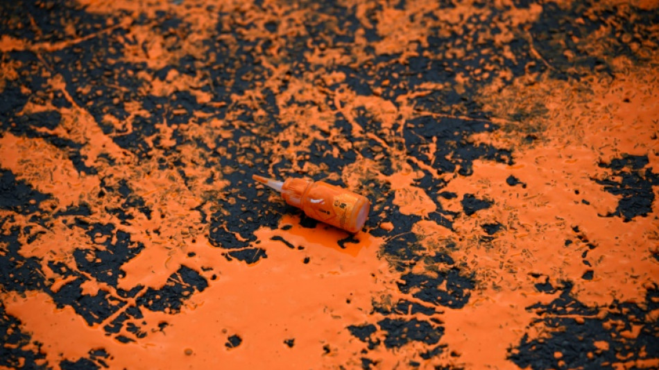 Haftstrafen f&uuml;r Klimaaktivistinnen nach Farbattacke auf Flugzeug auf Sylt