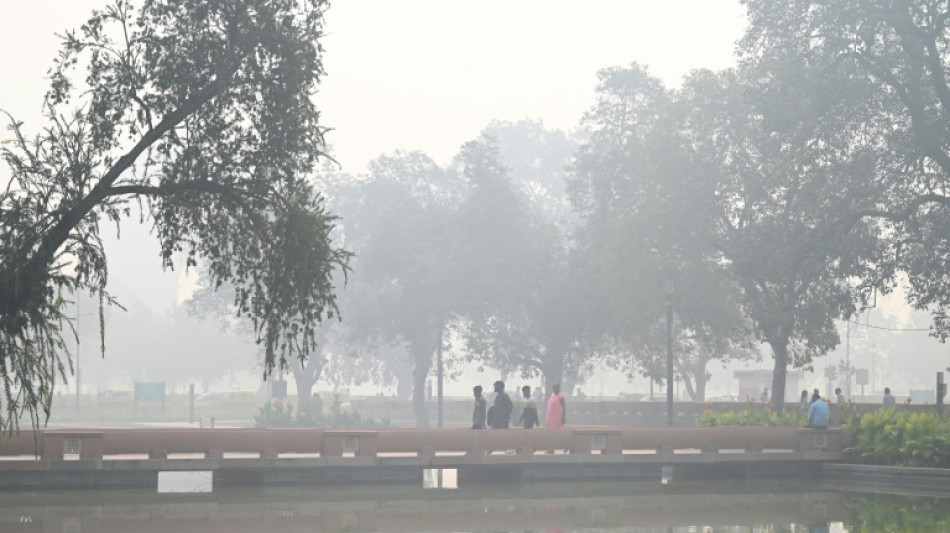 Des niveaux de pollution "dangereux" &agrave; Delhi dus aux br&ucirc;lages agricoles 