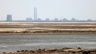 La central nuclear ucraniana de Zaporiyia se reparar&aacute; "pronto", seg&uacute;n el OIEA