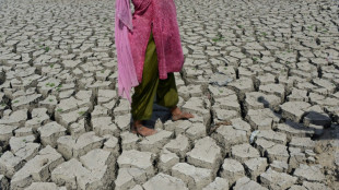 UNO: Wetterphänomen El Niño wird das ganze Jahr über andauern