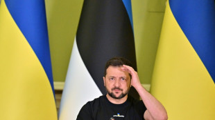 Zelensky afirma que Ucr&acirc;nia est&aacute; 'preparada' para contraofensiva, mas teme baixas