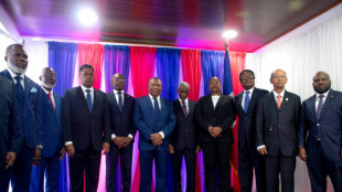 Haiti ex-senate president named transition council head
