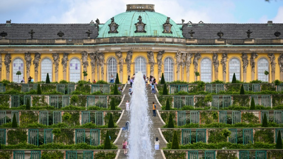 Hitze und St&uuml;rme setzen historischen Parkanlagen zu: Viele gesch&auml;digte B&auml;ume