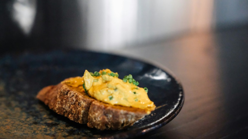 'Agricultores do futuro' criam prote&iacute;na comest&iacute;vel a partir do ar e eletricidade na Finl&acirc;ndia