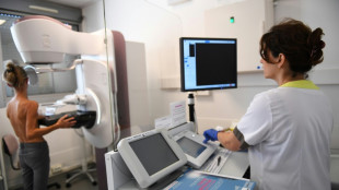 Inteligência Artificial pode ajudar a detectar câncer de mama