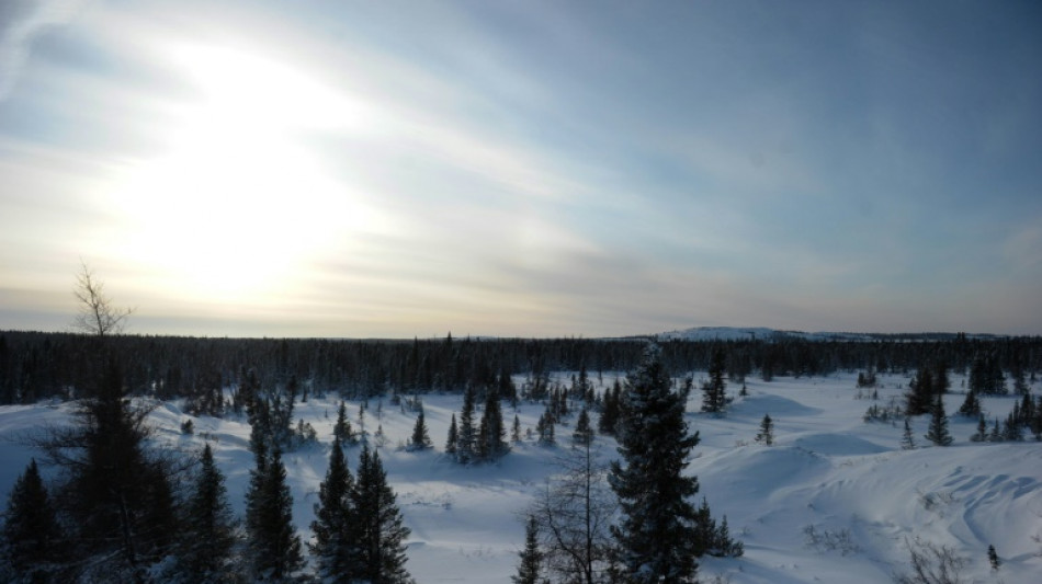 Cient&iacute;ficos piden m&aacute;s medios para investigar el deshielo en los polos