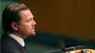 Leonardo DiCaprio en t&eacute;moin vedette au proc&egrave;s d'un musicien des Fugees