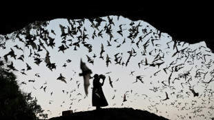 Studie: Klimawandel erh&ouml;ht Risiko f&uuml;r Pandemien