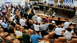 El Congreso de Nicaragua aprueba un cr&eacute;dito de China para construir una planta fotovoltaica