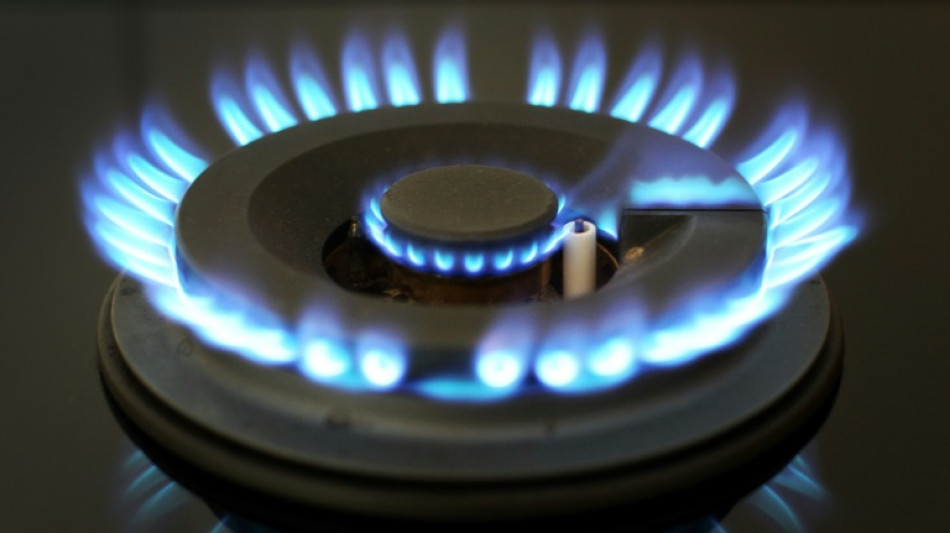 Gruppe von 15 EU-Ländern fordert Gaspreisdeckel für Importe