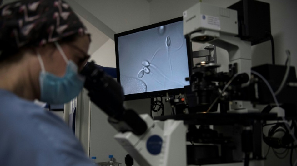 De la ponction &agrave; l'embryon, dans un centre de PMA entre espoirs et doutes