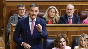 Sanchez, 'il mondo intero si mobilita contro la barbarie a Gaza'