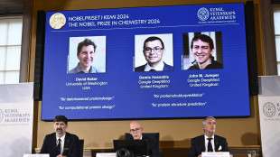 AlphaFold compie 5 anni, ricercatori premiati col Nobel nel 2024