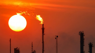 Opep+ volta a aumentar sua produ&ccedil;&atilde;o de petr&oacute;leo 