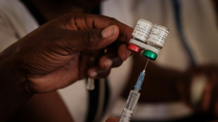 Paludisme: la vaccination à grande échelle en Afrique "va bientôt commencer", affirme Gavi