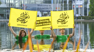 Los fabricantes de coches, lejos de las metas contra el cambio clim&aacute;tico, seg&uacute;n Greenpeace