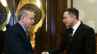 Erdogan wirbt bei Musk um Tesla-Fabrik in der Türkei
