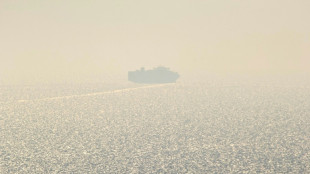 Kiev d&eacute;fie Moscou avec le d&eacute;part d'un cargo en mer Noire