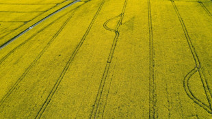 Umweltministerin Lemke offen f&uuml;r Nutzung von Biodiesel f&uuml;r Landwirtschaft