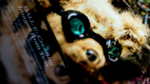 Les cr&eacute;ateurs de ChatGPT peinent &agrave; trouver l'antidote