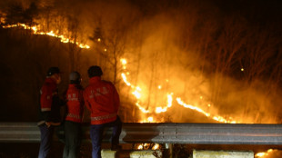 Global temperatures stuck at near-record highs in April: EU monitor
