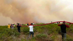 Al menos 15 muertos por incendios forestales en Per&uacute; en lo que va de 2024