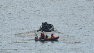 Movilizaci&oacute;n en Francia para socorrer a una beluga en el r&iacute;o Sena