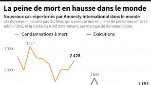 Le nombre d'exécutions au plus haut dans le monde depuis 2015, selon Amnesty