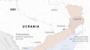 Ucrania dice que frustró 55 ataques rusos en la región oriental de Donetsk