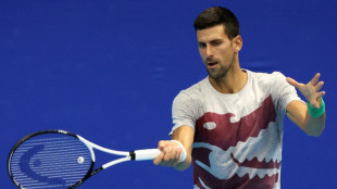 Serbische Forscher benennen Insekt nach Tennis-Star Djokovic