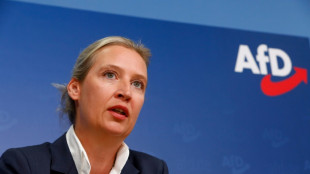 AfD-Chefin Weidel trifft in Paris Rechtspopulistin Le Pen