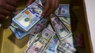 O 'rei d&oacute;lar': criticado e desafiado, mas longe de ser desbancado