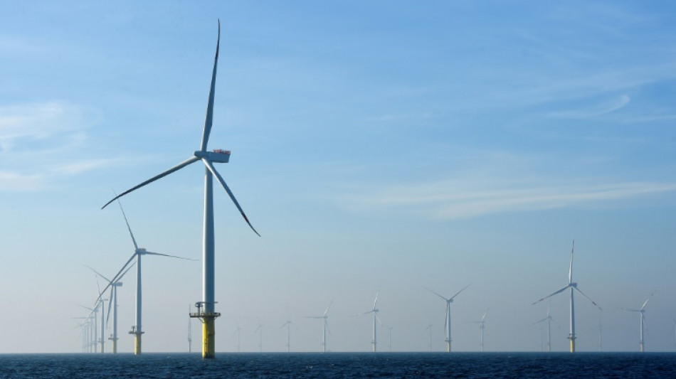 Gewerkschaften warnen vor Fachkräftemangel bei Windkraftausbau