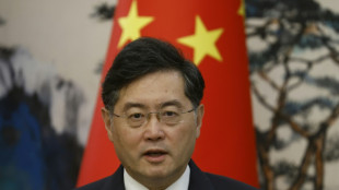 'No information': Beijing bats away questions on Qin Gang removal