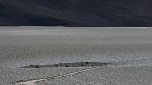 Chile inicia una batalla judicial contra la francesa Eramet por "entorpecer" un proyecto de litio