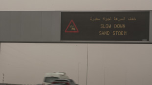 Tempeste di sabbia travolgono diversi Paesi arabi