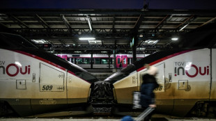 Il y aura des trains au Nouvel An, mais les d&eacute;parts pour No&euml;l restent perturb&eacute;s