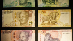 Südafrikanische Banknoten zeigen neben Mandela-Porträt nun auch Tierbabys