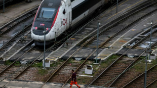 La ligne à grande vitesse entre Paris et l'est de la France interrompue, des heures de retard pour les TGV