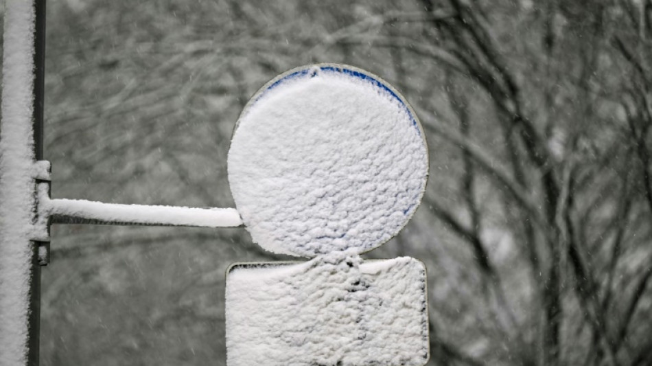 Sturm und Schnee sorgen für Unfälle in Süden und Westen - Mann von Baum erschlagen